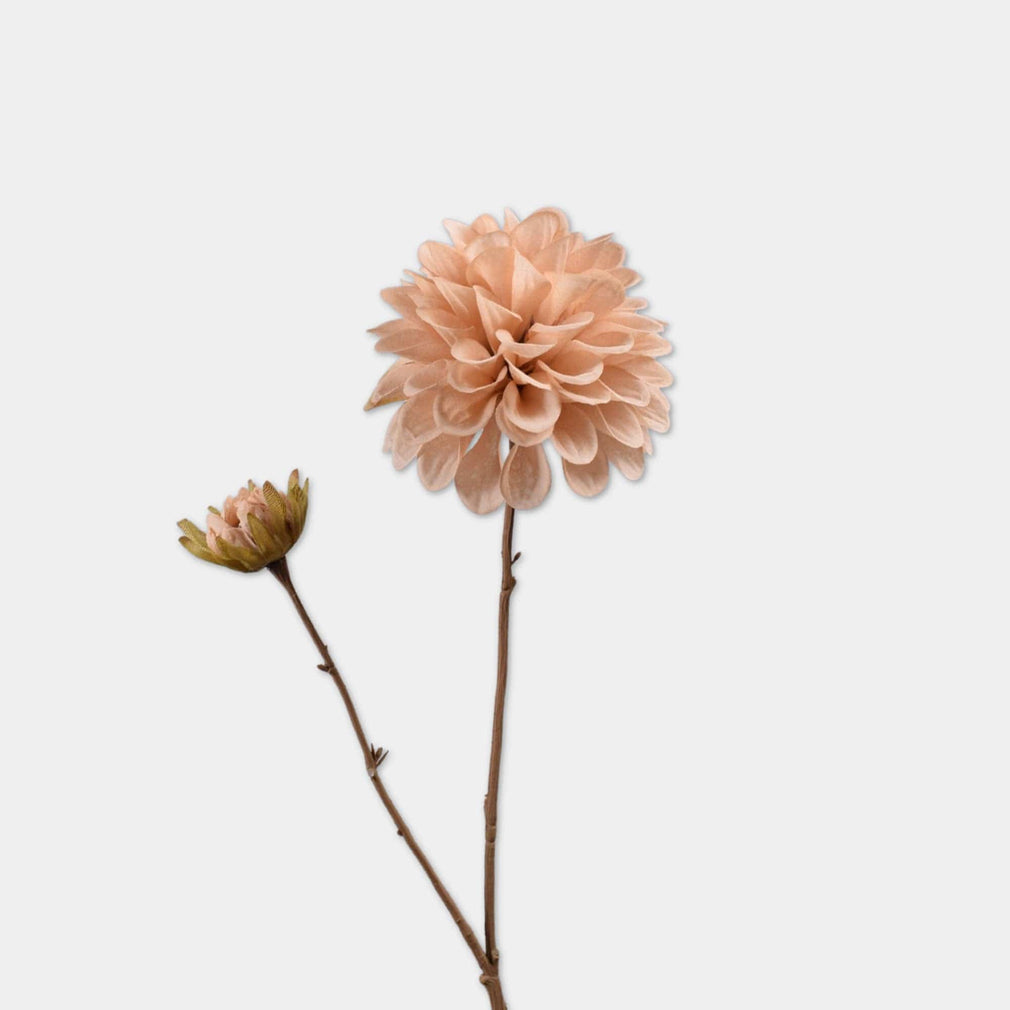 Dahlia Branch - Brown Spray