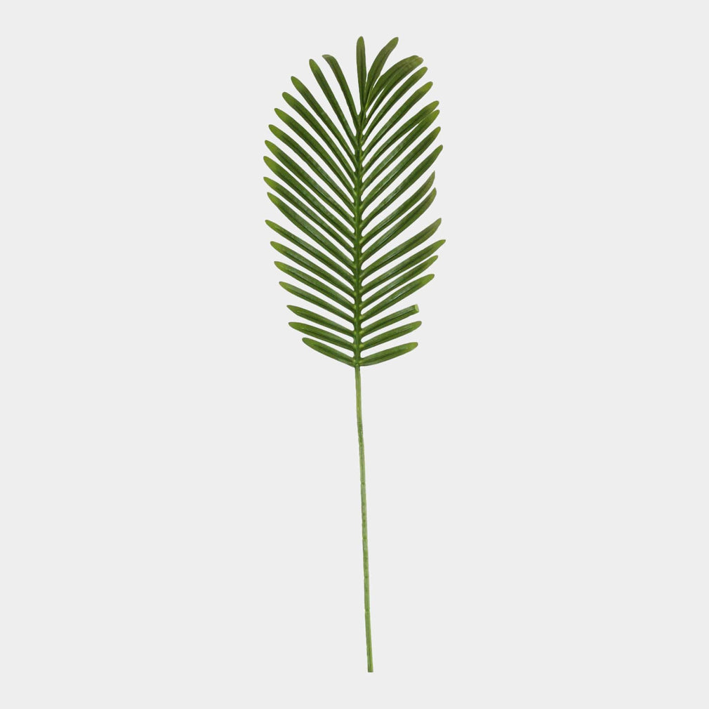 Tropical Fern Leaf - Stem