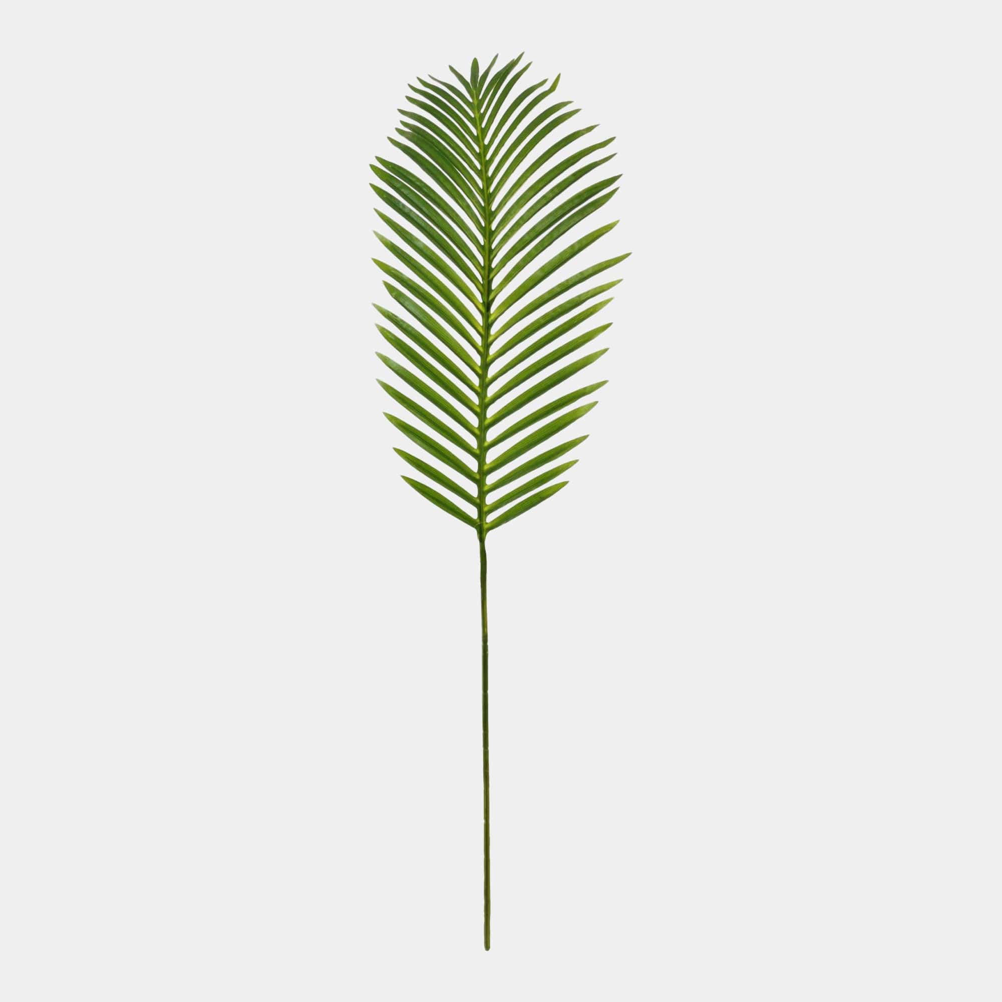 Tropical Fern Leaf - Stem