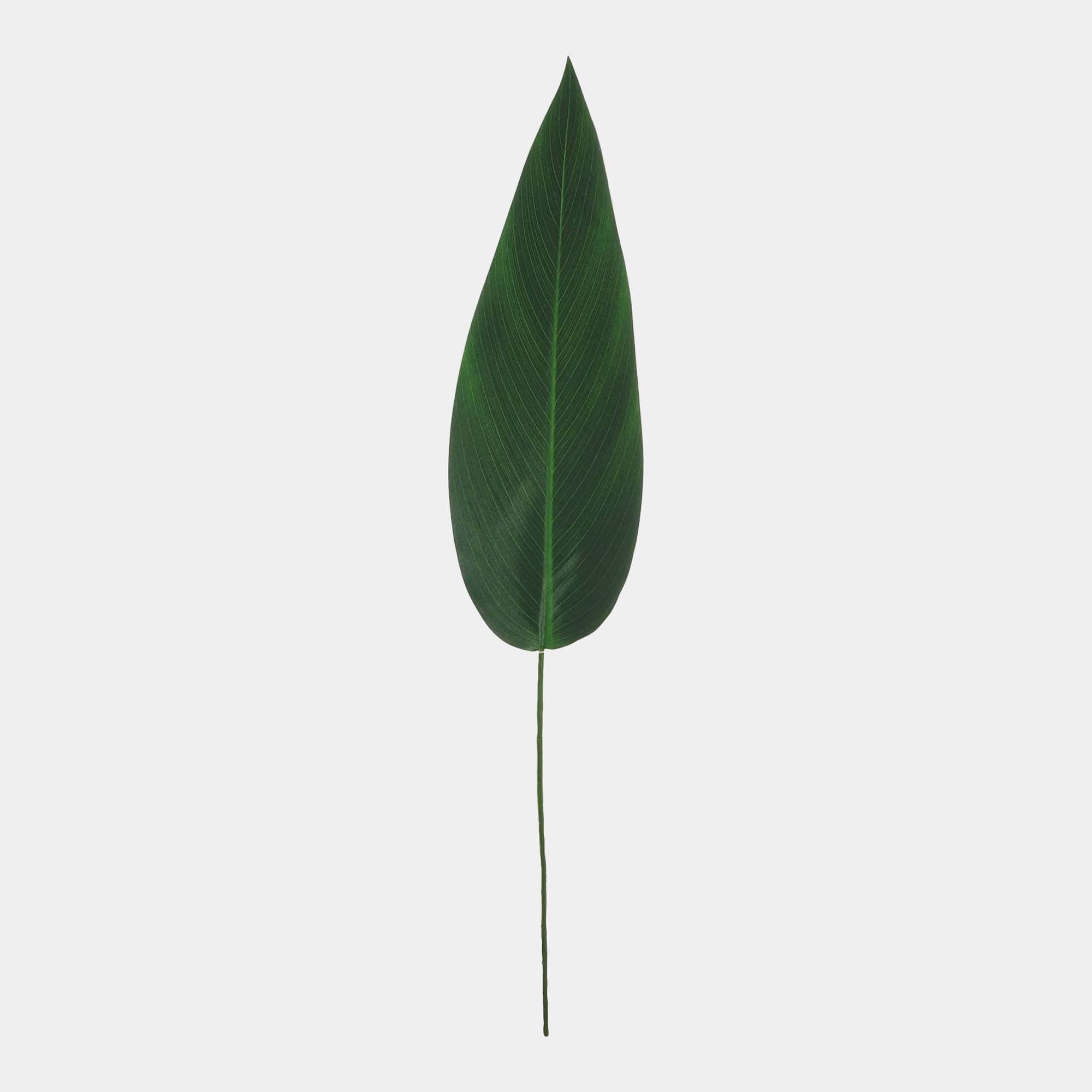 Paradise Leaf - Stem