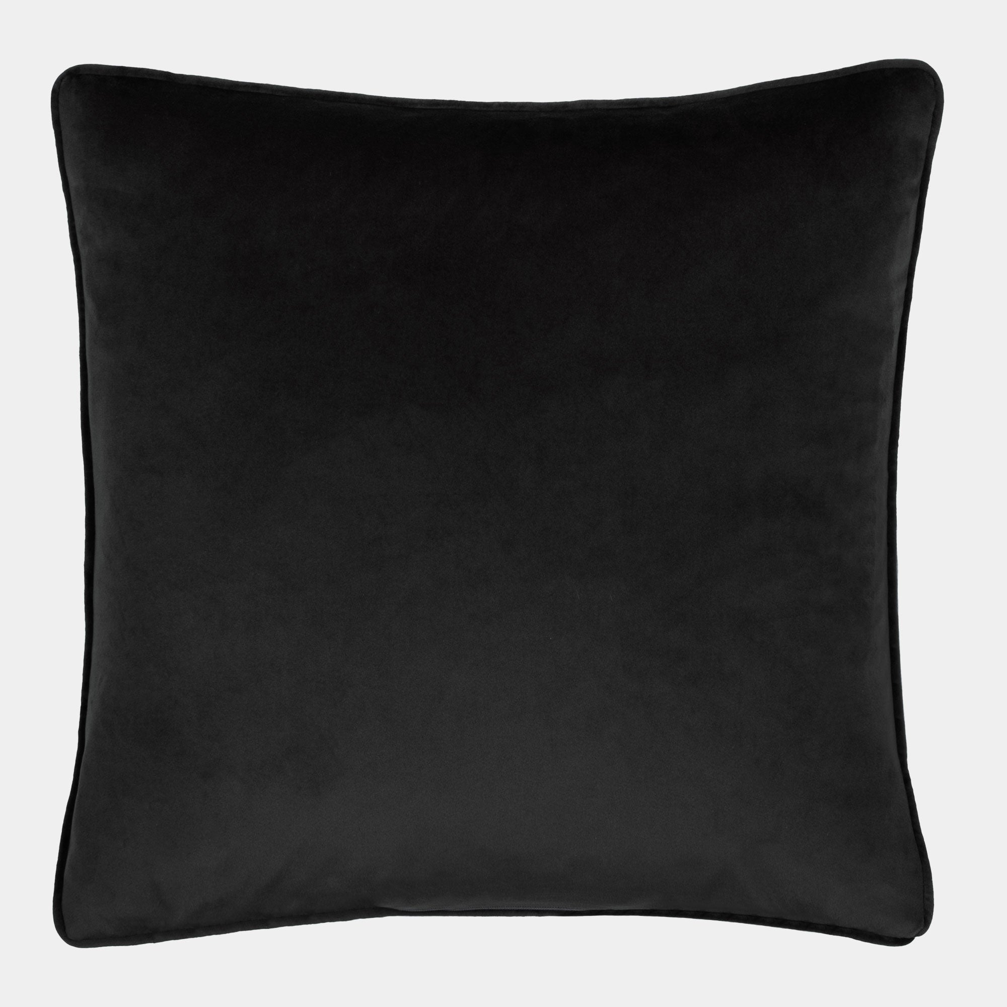 Kielder Forest - Hatfield Black Cushion