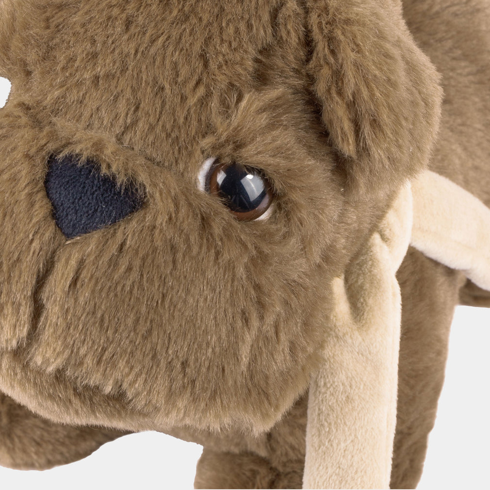 Buddy Bulldog - Door Stop, Brown