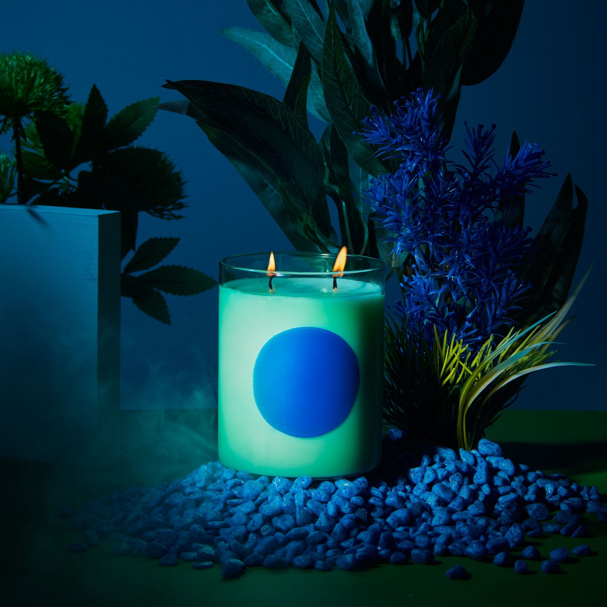 Wxy Disco - Basil & Sweet Lime Candle