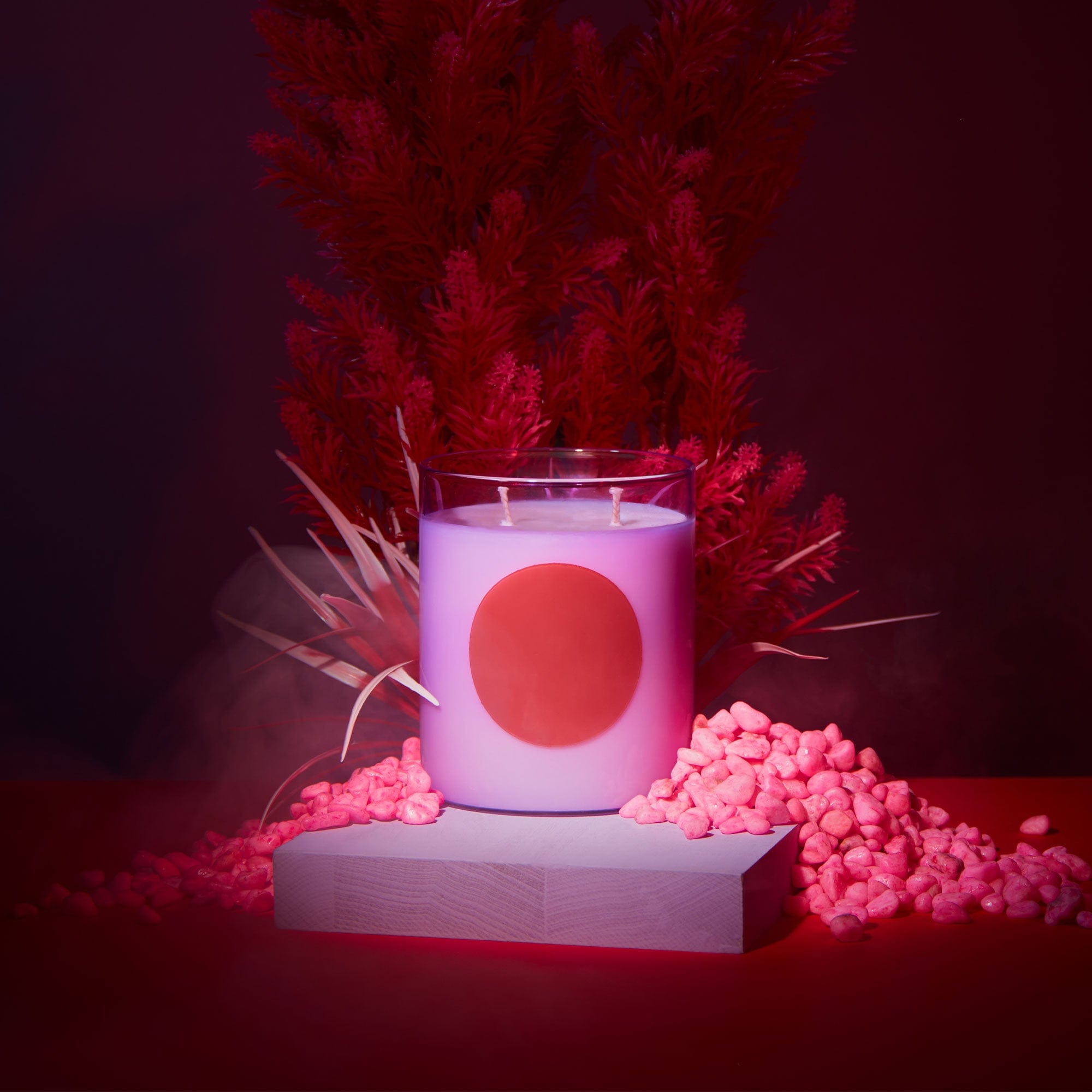 Wxy Disco - Orris Root & Amber Candle