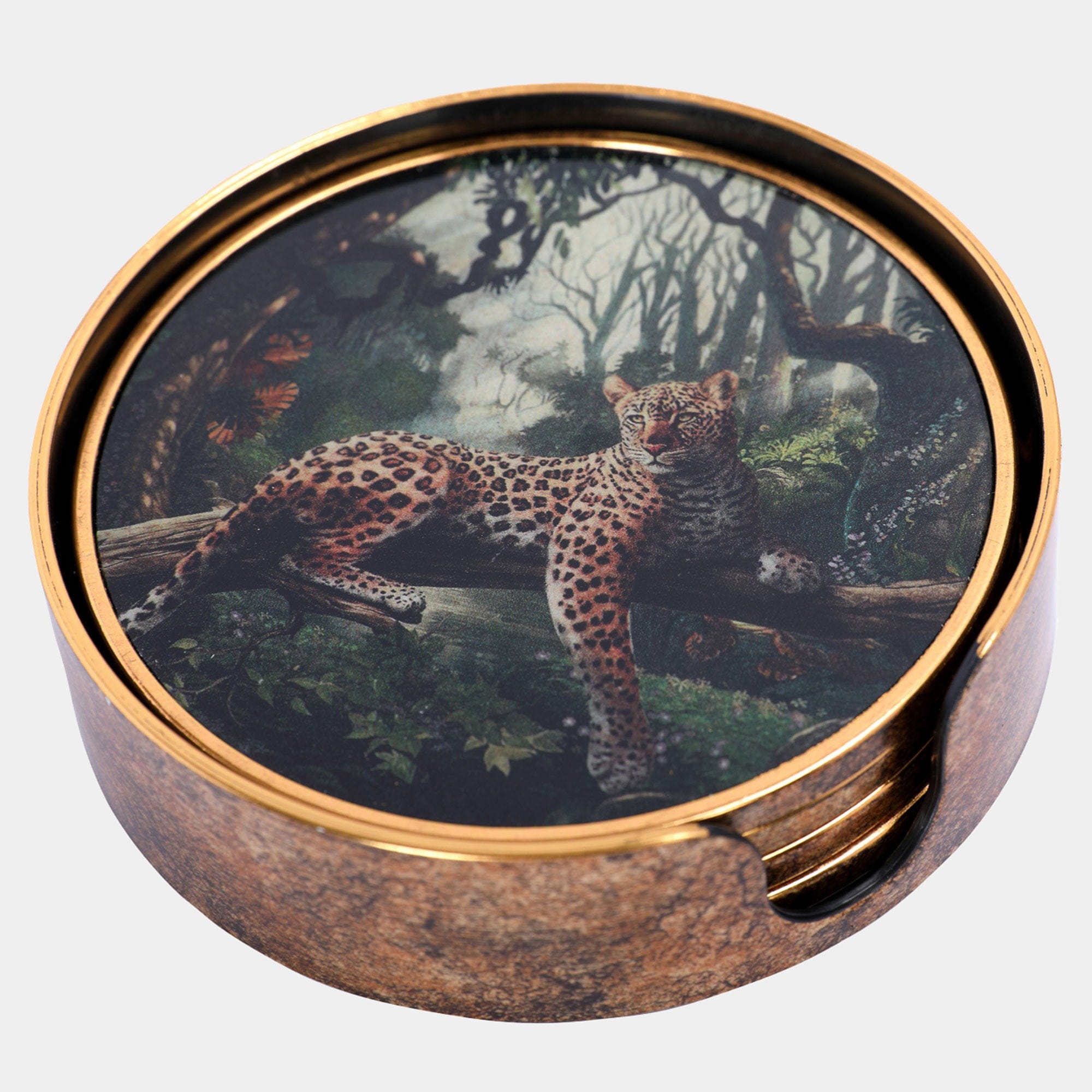 Lounging Leopard - Coasters, Set of 4