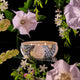 Voluspa - Jasmine Midnight Blooms 3 Wick Scented Tin Candle