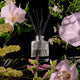 Voluspa Jasmine Midnight Blooms - Egyptian Jasmine, Tuberose, Moonflower & Dune Grass Reed Diffuser 100ml
