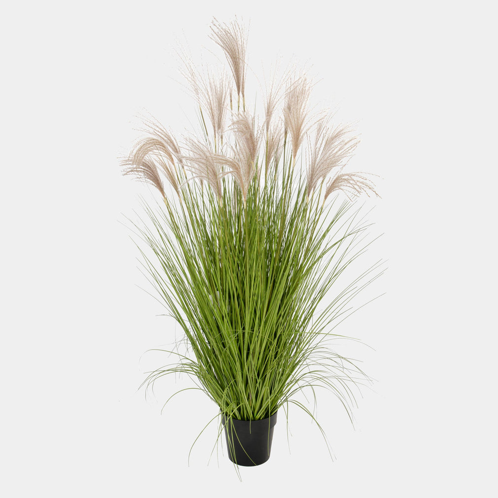 Large Pampas Grass in Pot - Realistic Faux Ornamental Plant