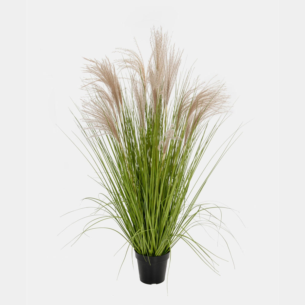 Artificial Plant - Potted Grass Pampas, Small