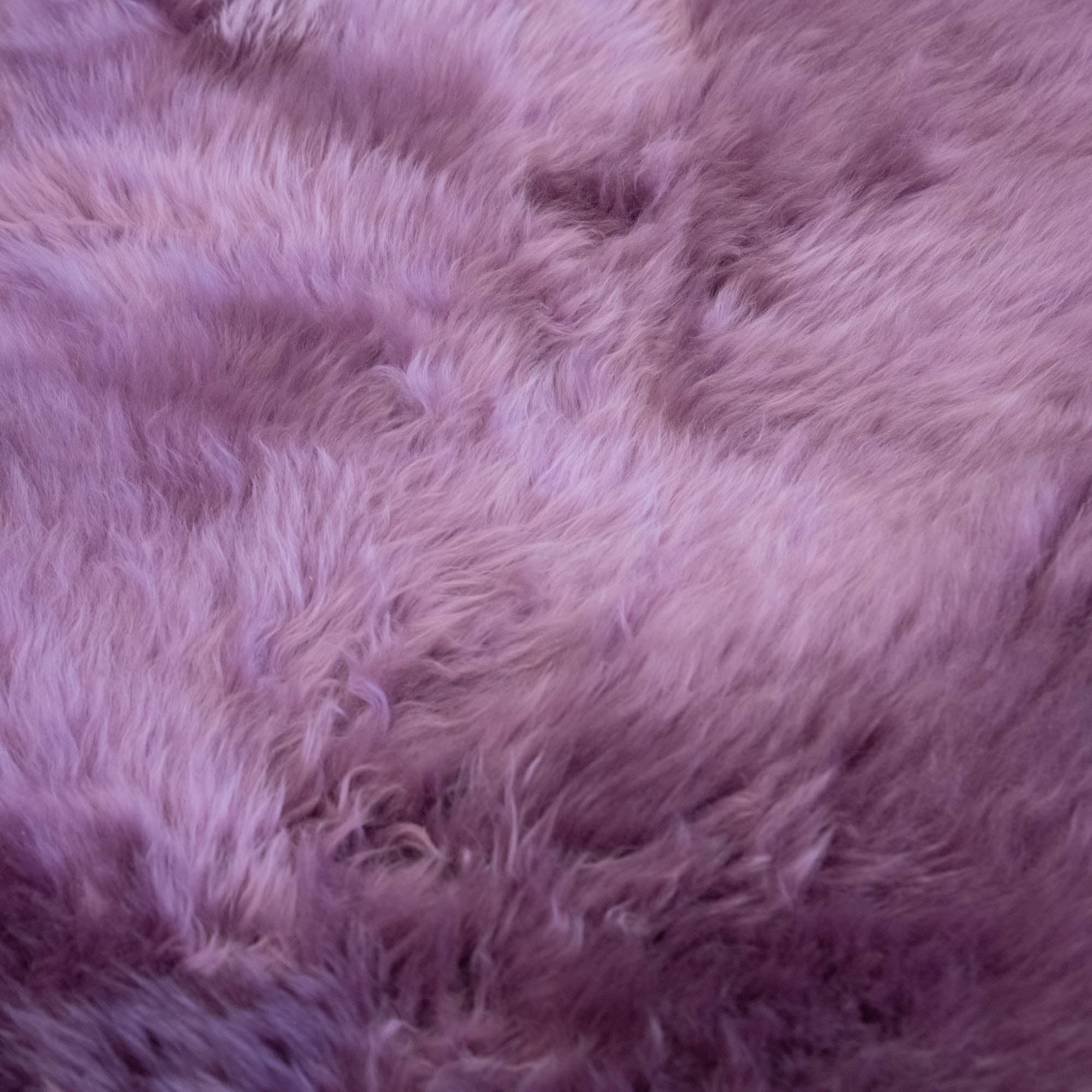 Sheepskin - Rug, Single