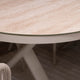 Palm Springs - 6 Seat Oval Garden Dining Set -  Item as Pictured