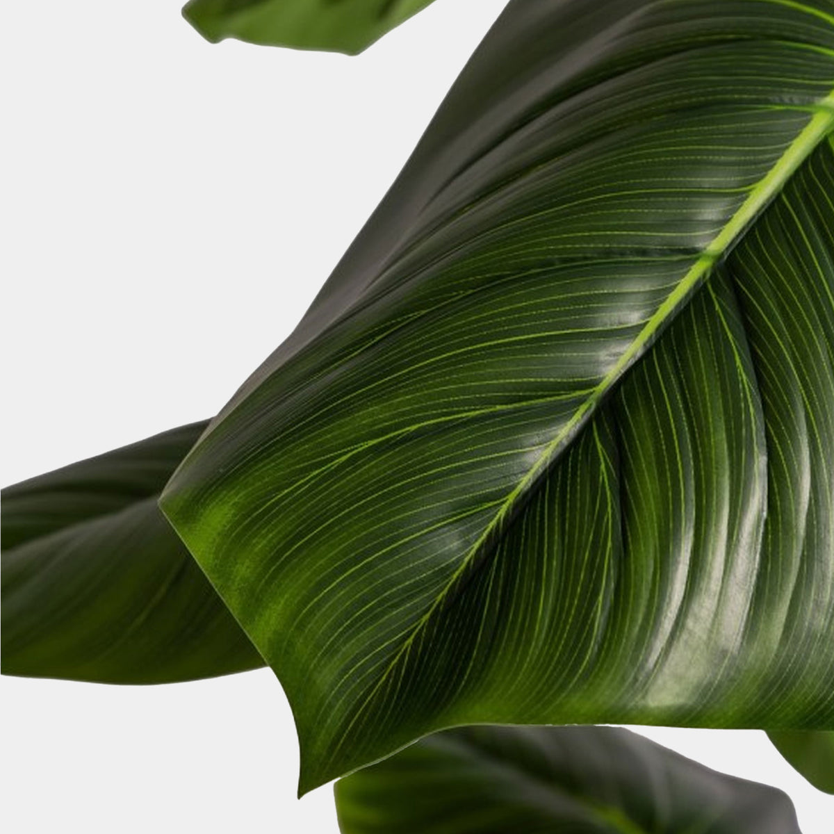 Artificial Philodendron Tree in Black Pot - Realistic Faux Indoor Plant