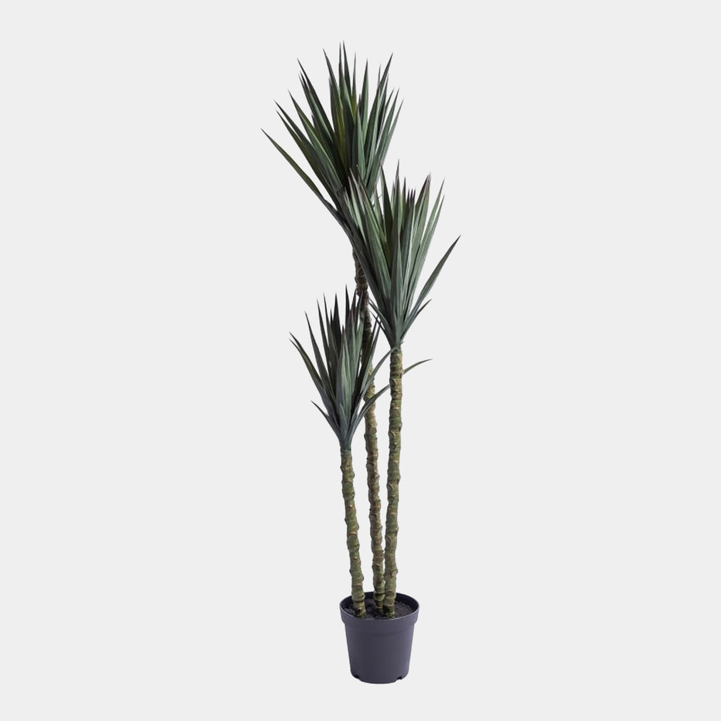 Artificial Triple Stem Sisal Tree in Pot - Realistic Faux Indoor Plant