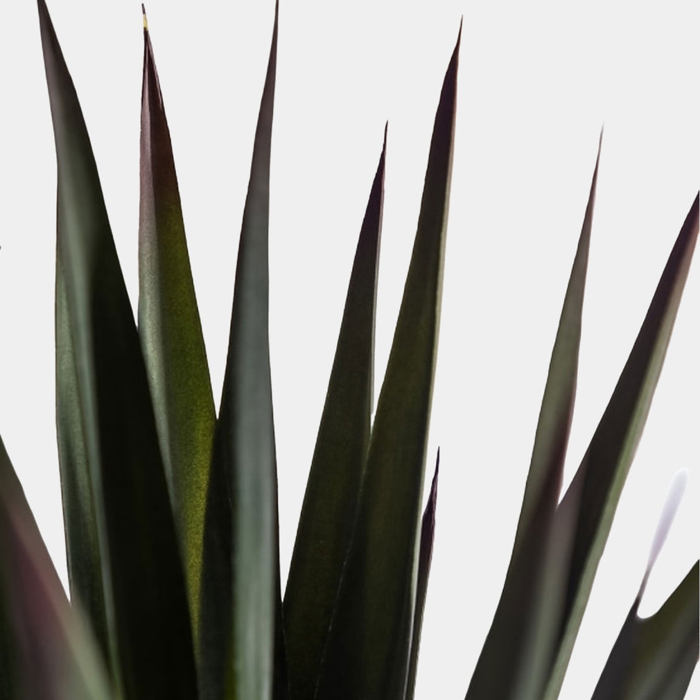Artificial Triple Stem Sisal Tree in Pot - Realistic Faux Indoor Plant