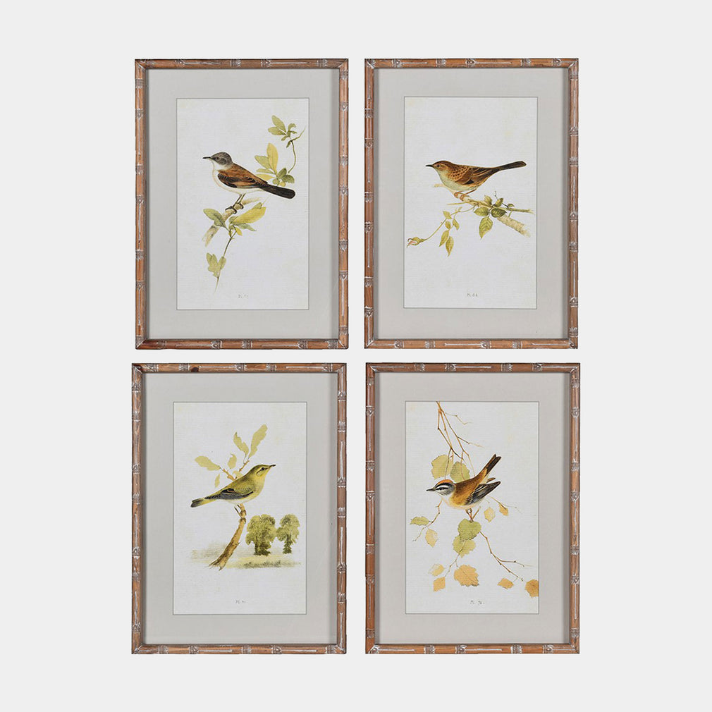 Sparrows - Wall Art, Set of 4