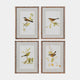 Sparrows - Wall Art, Set of 4