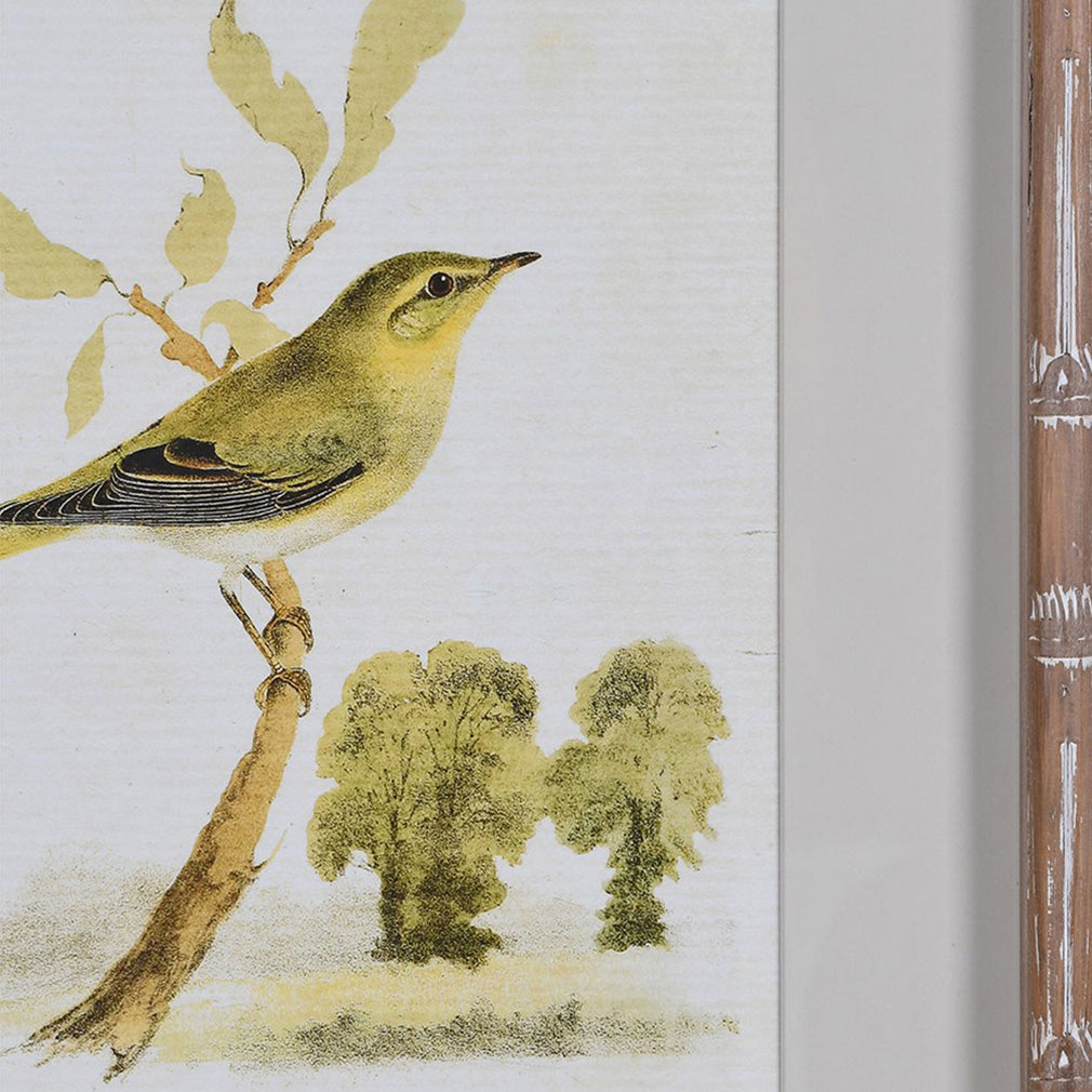 Sparrows - Wall Art, Set of 4