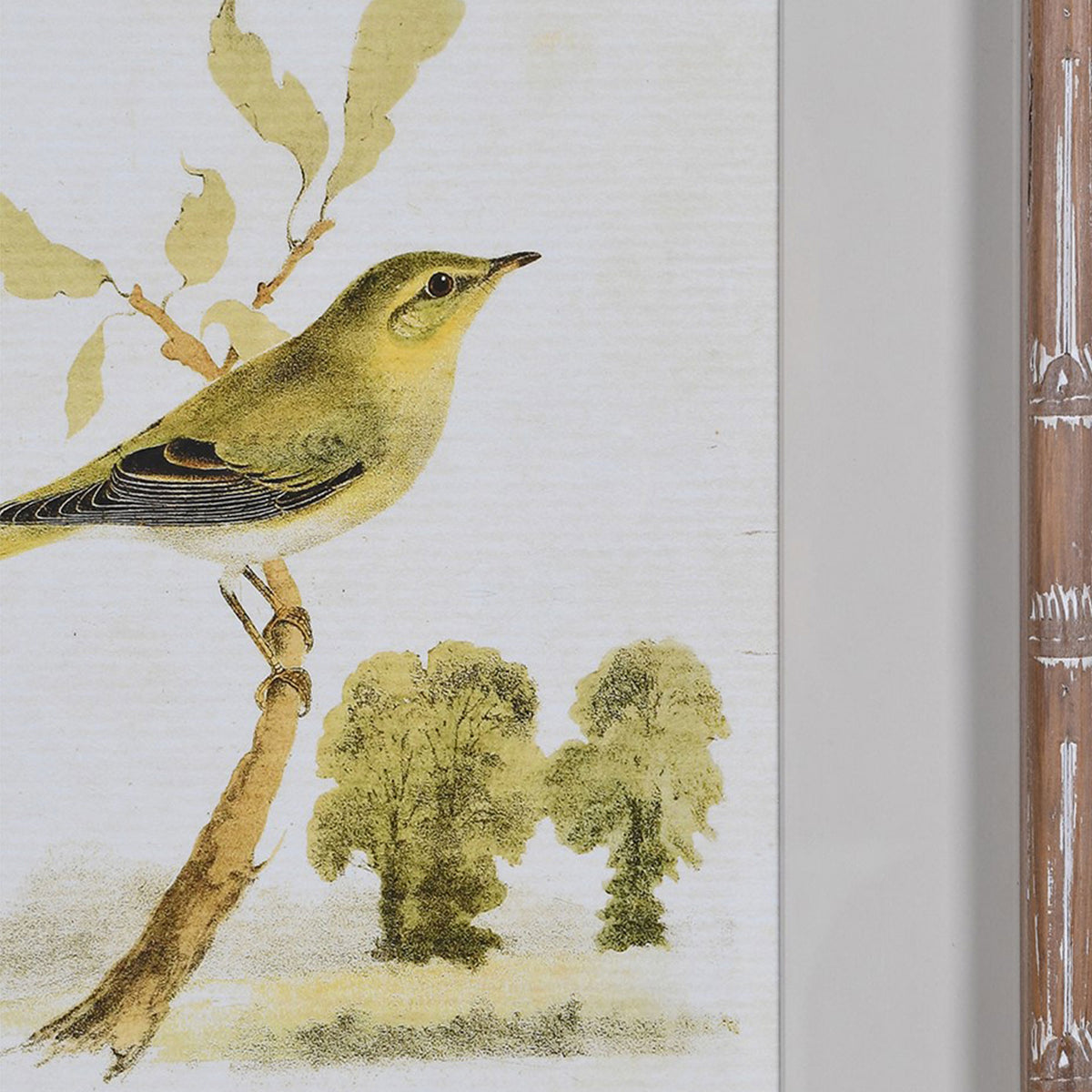 Sparrows - Wall Art, Set of 4