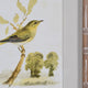 Sparrows - Wall Art, Set of 4