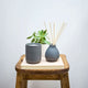 Aery - Indian Sandalwood Reed Diffuser 200ml