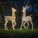 Starbright LED Outdoor Christmas Doe - Illuminated Garden Reindeer Decoration