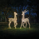 Starbright LED Outdoor Christmas Stag - Illuminated Garden Reindeer Decoration