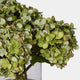 Artificial Eden Hydrangea Bouquet in Vase