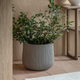 Denia - Metal Garden Planter, Grey