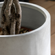Oria - Metal Garden Planter, White