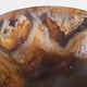 Mojave - Decorative Bowl, Resin