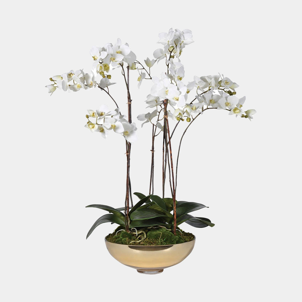 Artificial Plant - Orchid Plant & Gold Glass Bowl, Ivory Majesty