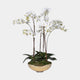 Artificial Plant - Orchid Plant & Gold Glass Bowl, Ivory Majesty