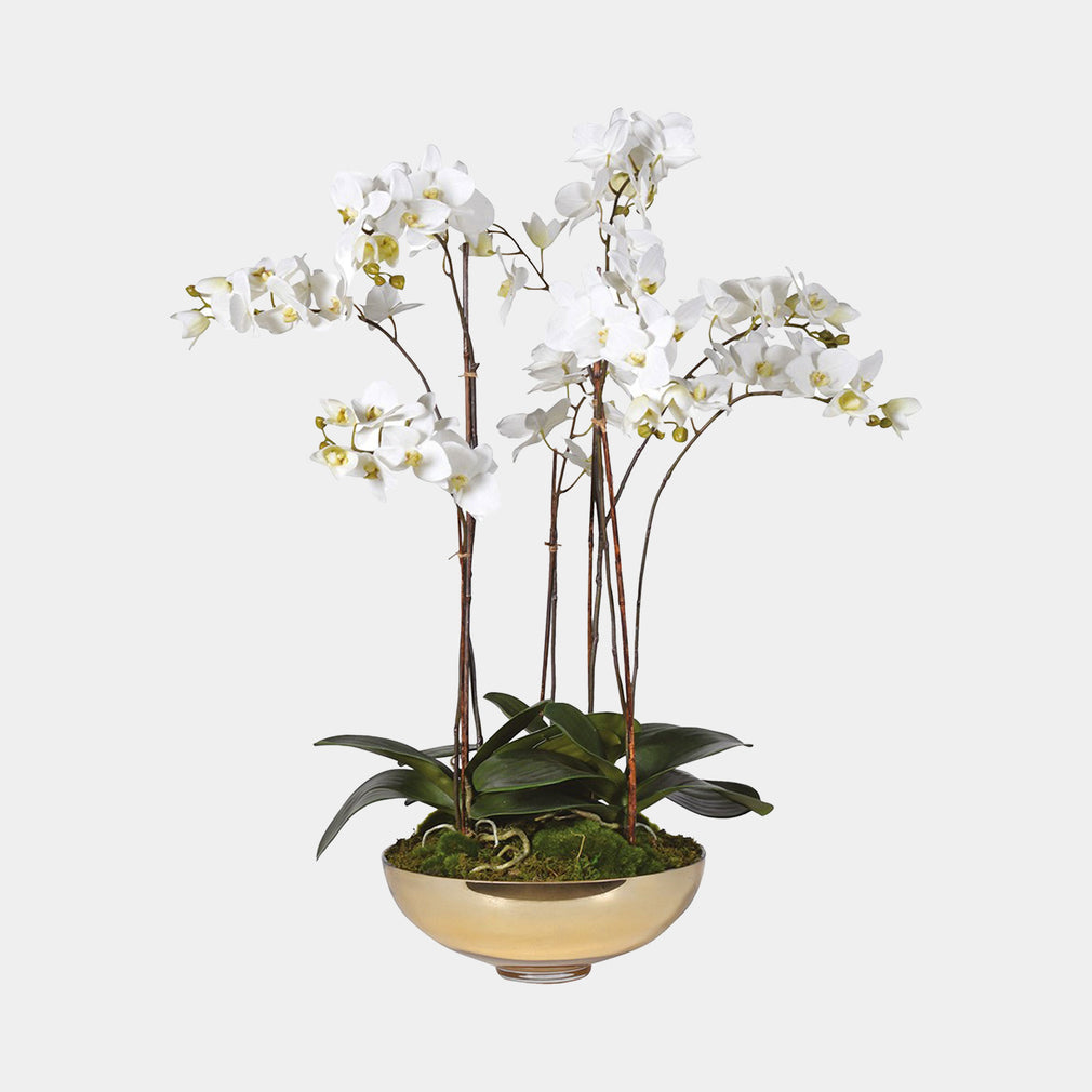 White Orchid Arrangement in Gold Bowl - Realistic Faux Indoor Plant