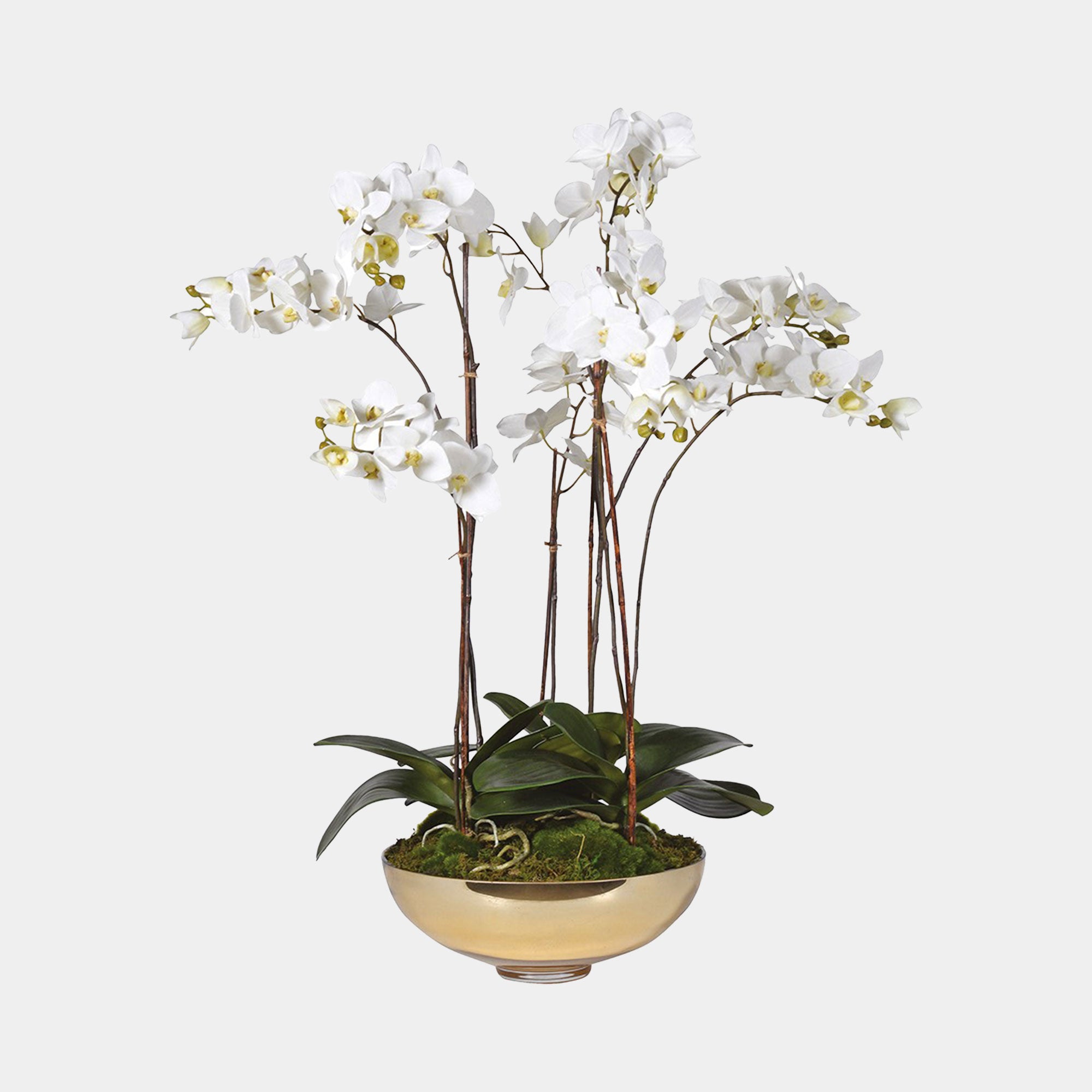 White Orchid Arrangement in Gold Bowl - Realistic Faux Indoor Plant