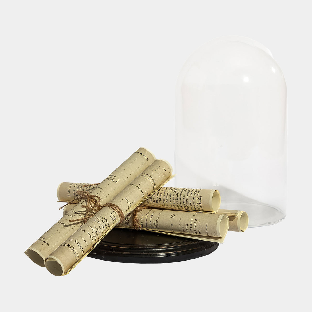 Secrets & Scribbles - Scrolls in a Cloche Ornament