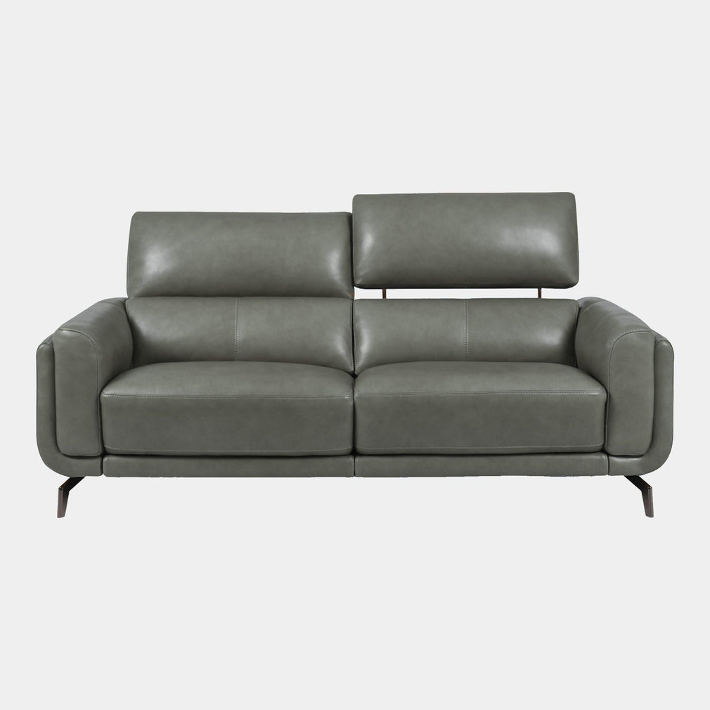 Harvard - 2 Seat Sofa, Leather NWS 513E Pine Bark