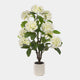 Artificial Potted Flower - White Hydrangea in Pot