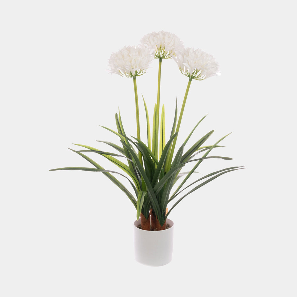 Artificial Plant - Potted Lily of the Nile Agapanthus