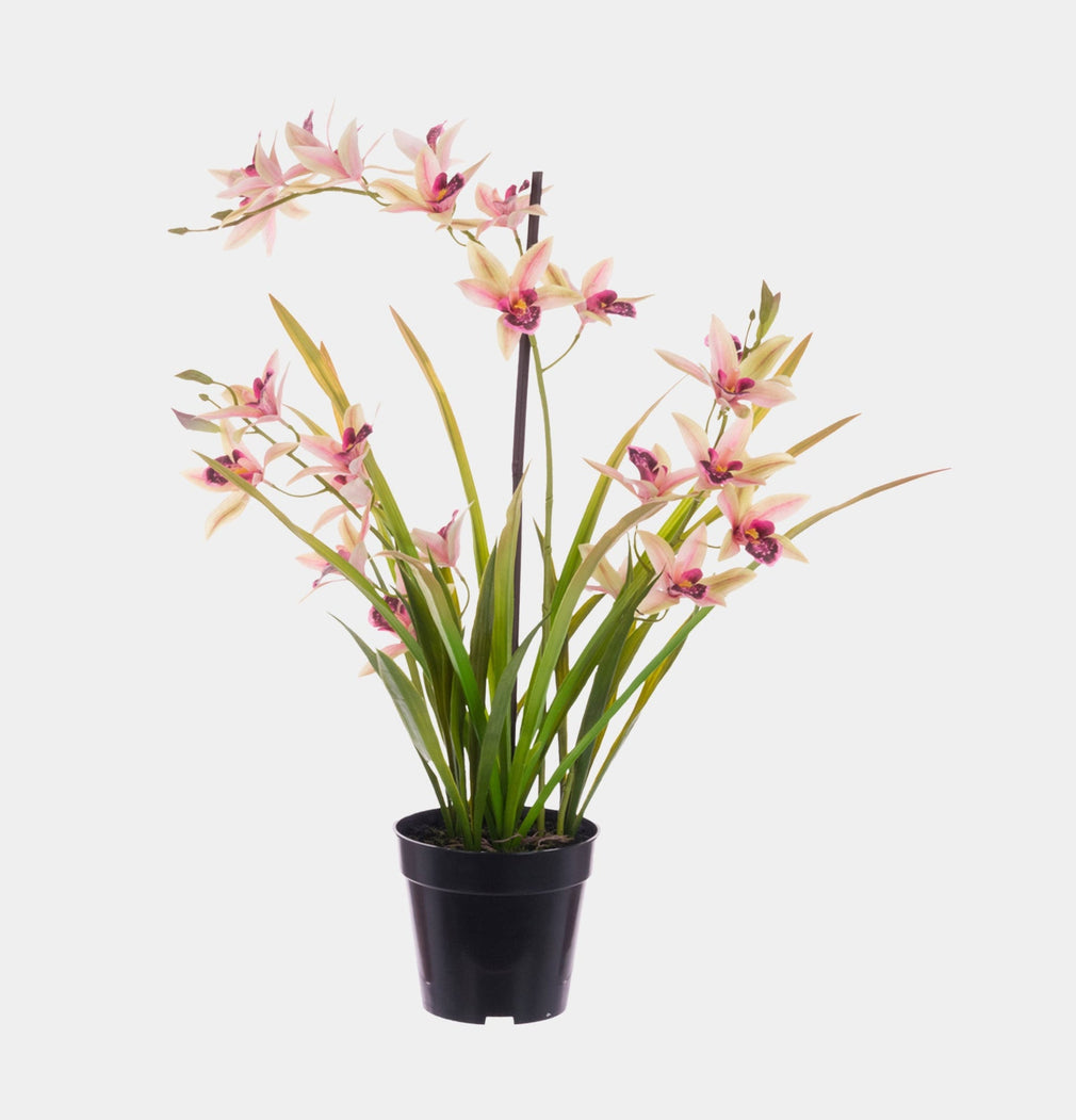 Artificial Plant - Potted Kiara Cymbidium Orchids