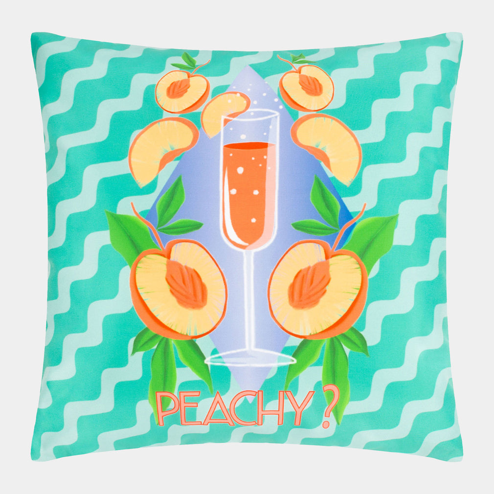 Peachy - Aqua Outdoor Cushion 43x43cm