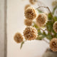 Artificial Pom Pom Bouquet in Vase - Luxury Faux Flower Arrangement