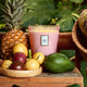 Voluspa - Napali Passion Fruit 3 Wick Jar Candle 1077g