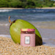 Voluspa Napali Passion Fruit - Guava, Pineapple & Coconut Milk Candle 510g