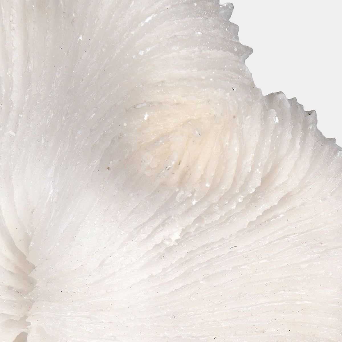 Ocean Bloom - White Coral Ornament