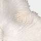 Ocean Bloom - White Coral Ornament