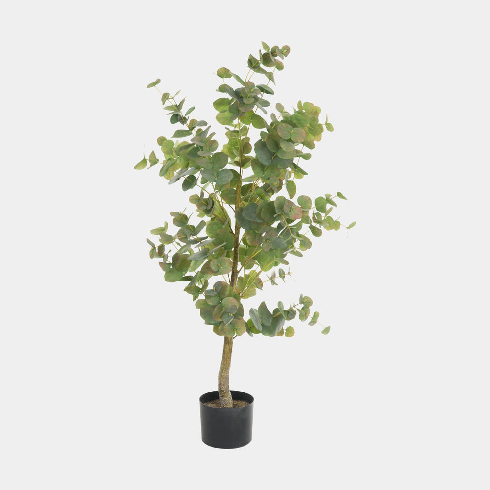 Artificial Plant - Potted Ewan Eucalyptus Tree