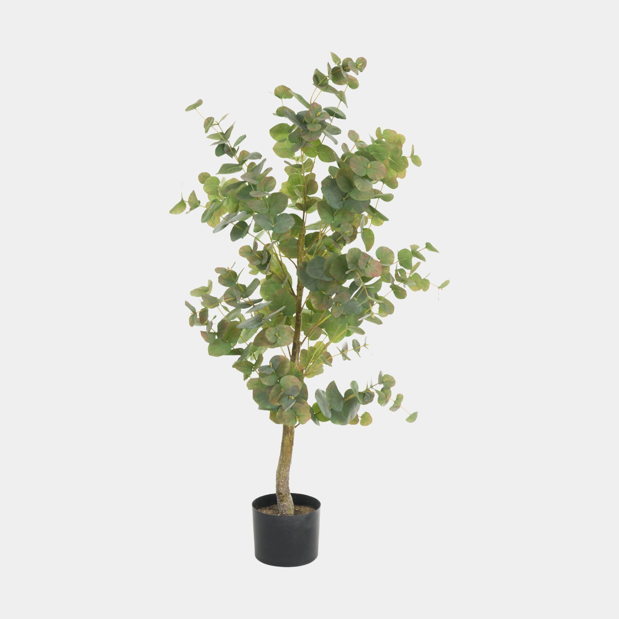 Artificial Plant - Potted Ewan Eucalyptus Tree
