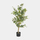 Artificial Plant - Potted Ewan Eucalyptus Tree