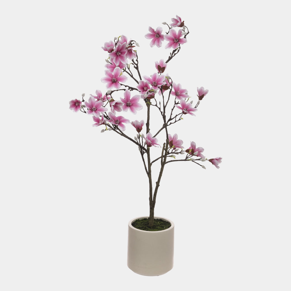 Artificial Potted Flower - Pink Magnolia Tree in Cream Pot