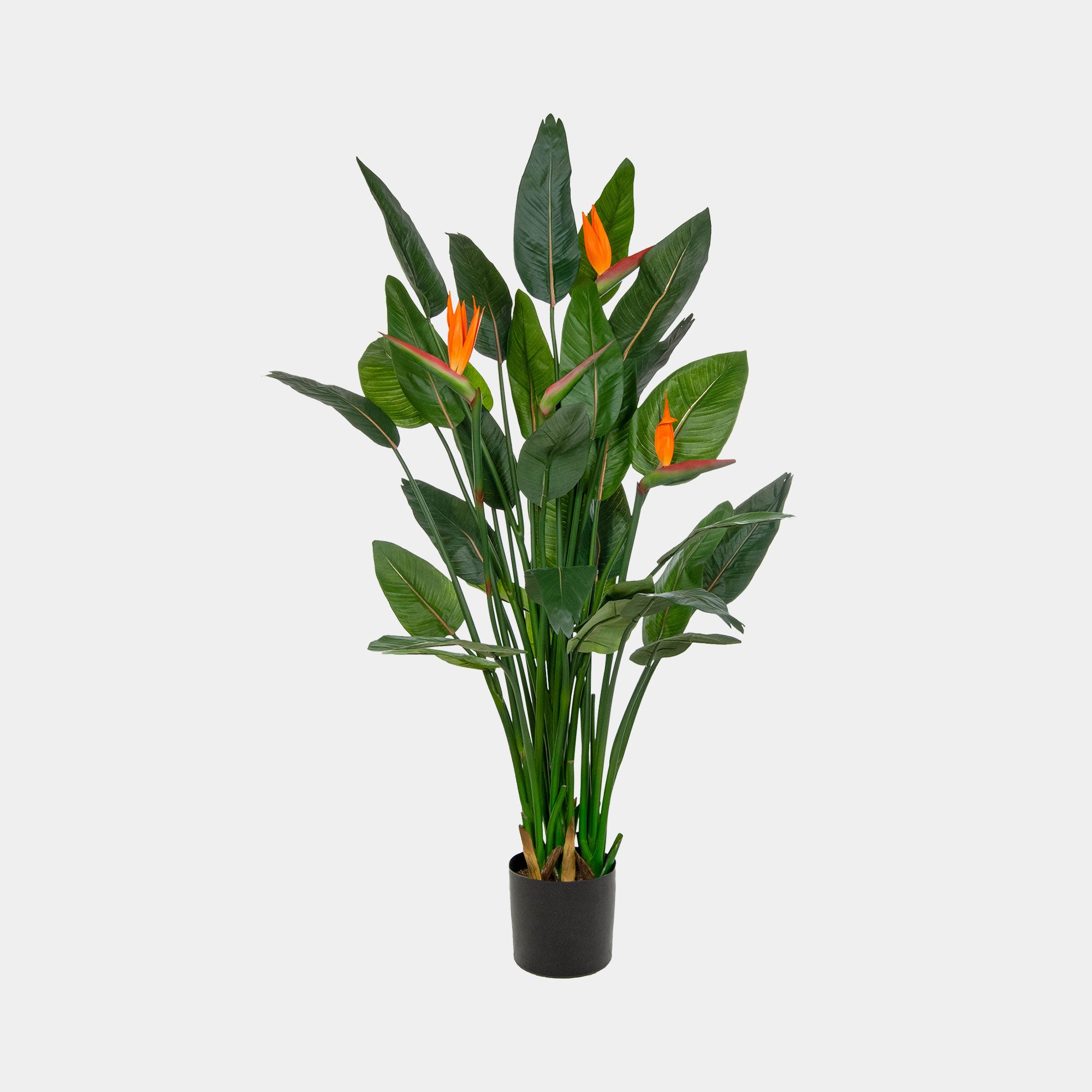 Artificial Plant - Potted Bird of Paradise Plant